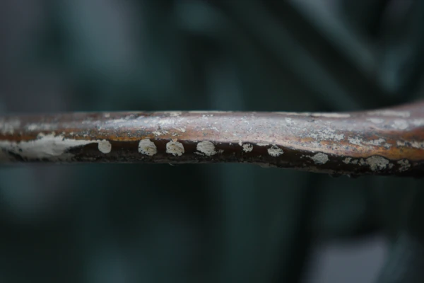 Un matin pluvieux partie 2